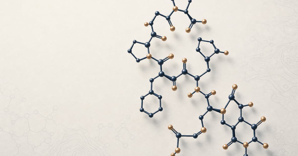 Semax heptapeptide MEHFPGP ball-and-stick structure in deep navy and warm brass, the Russian ACTH(4-7) analog peptide